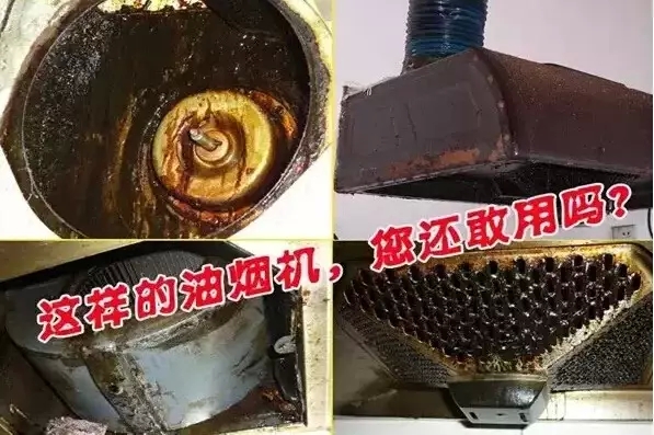 1.webp.jpg 1.webp.jpg